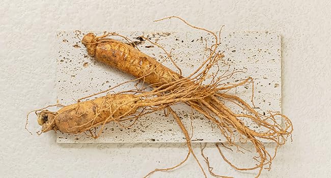 Zermet 1 Beauty of Joseon Revive Eye Serum with Retinal Niacinamide Correction for Puffy Eye Bags Fine Lines Dark Circles Wrinkles, Korean Skin Care 30ml, 1 fl.oz