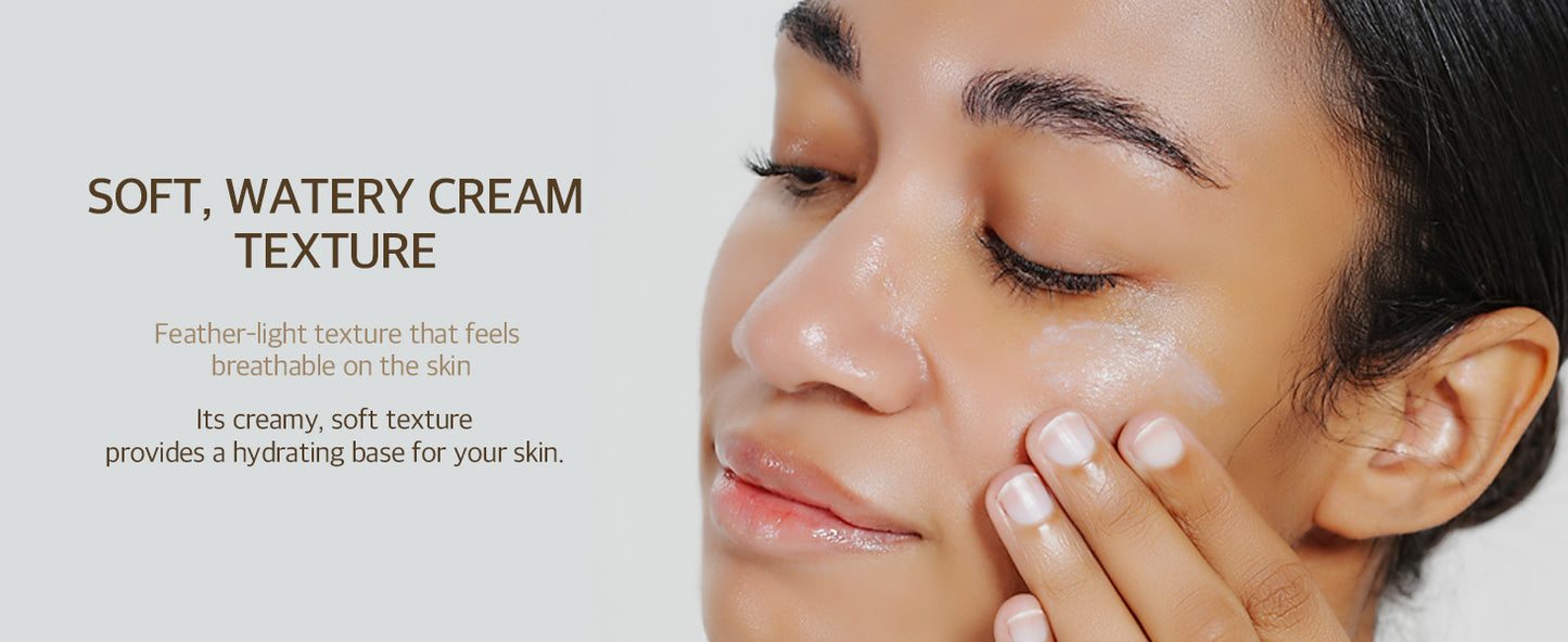 Zermet 1 mixsoon Bean Sunscreen 1.69 Fl. Oz. / 50ml SPF 50 Airy Texture Type Lightweight No White Cast For Face Korean Glass Skin Care