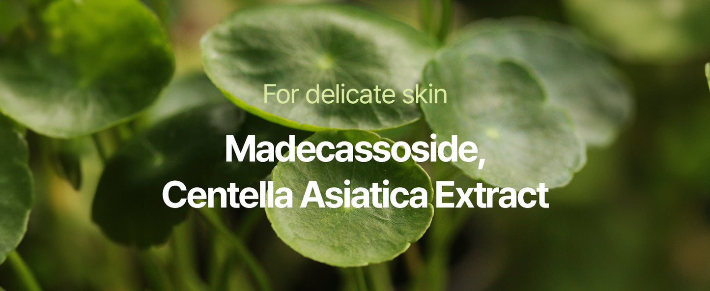 Zermet 1 Zermet 1 Calming Moisture Barrier Cream Instantly Soothes Sensitive Skin, Hyaluronic Acid & Ceramide for Hydration, Vegan, Korean Skincare (3.38 Fl. Oz, 100ml)