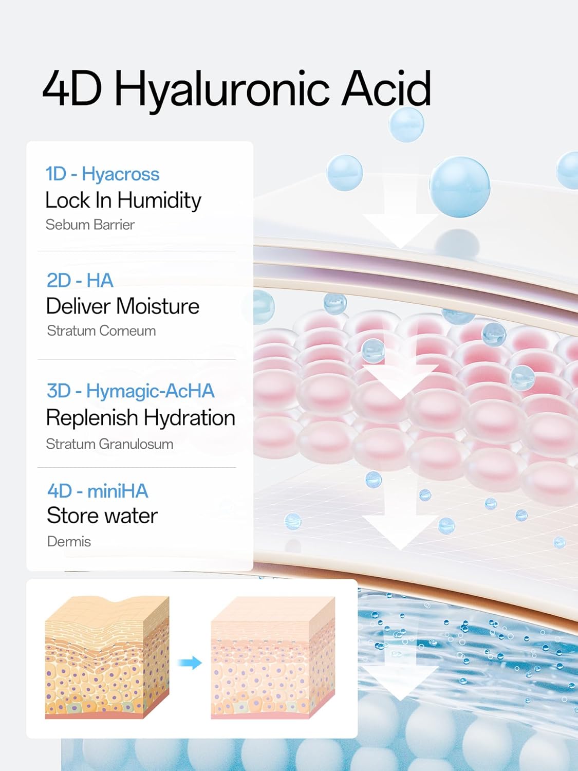 Zermet 1 Zermet 1  3% 4D Hyaluronic Acid Serum Ultra Hydrating Serum Smoother Skin|Pre-makeup SkinCare|Anti-Aging serum for face Single-Use Vials Skincare for Dry&Sensitive skin(1.2 ml)*30