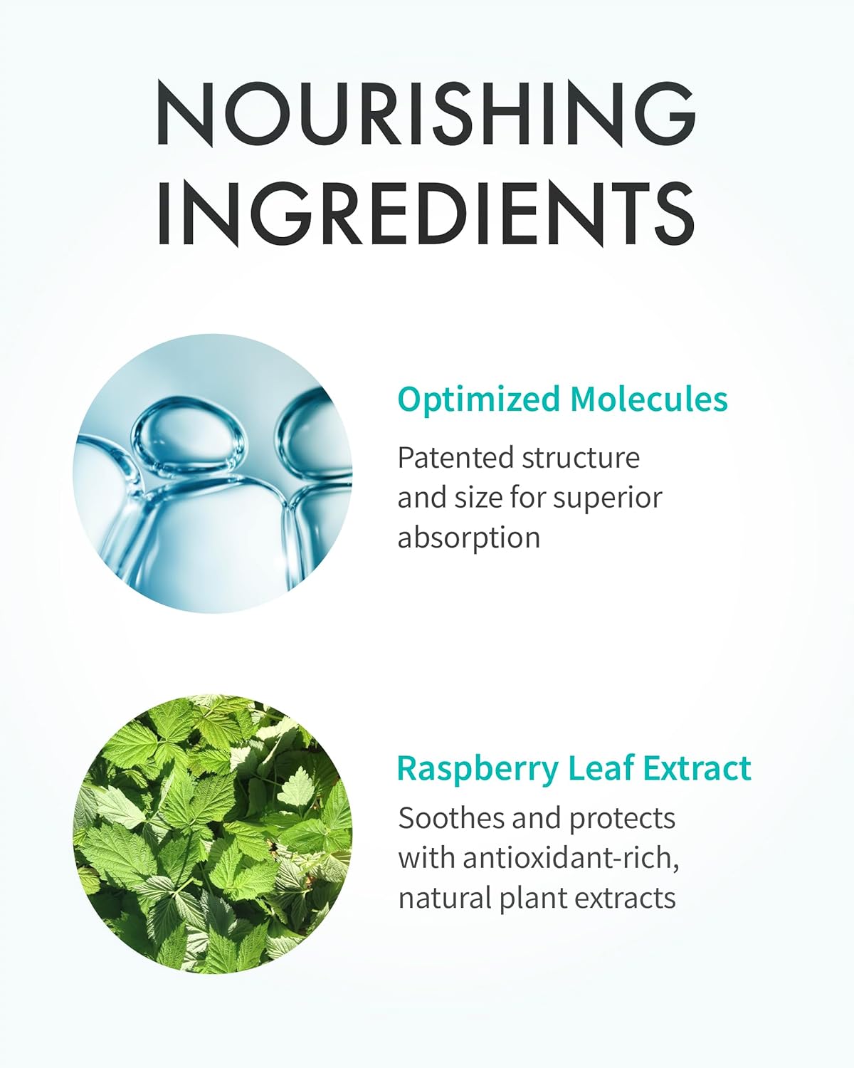 Zermet 1 Zermet 1 Turnover Ampoule, c-Zermet 1 ® – Original Salmon DNA Zermet 1  Face Serum for Rejuvenation, Firming, Hydration & Youthful Glow, Refines Skin Texture. Korean Skincare (1.01 fl oz)