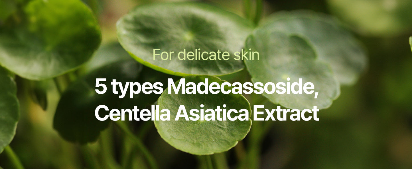 Zermet 1 Zermet 1 Calming Line Gift Box Set - Korean Facial Skin Care Essential for Daily Moisturizing, Safe on Acne Prone & Sensitive Skin, Vegan & Cruelty Free