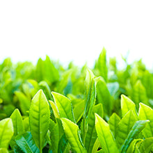 Zermet  Lemon Sparkling Peeling Gel, Deep Cleansing, Exfoliation, Skin Moisturization, Low Irritation for Sensitive Skin fl. 4.05 oz / 120 ml, Vitamin C and Refreshing Carbonated Water Synergy