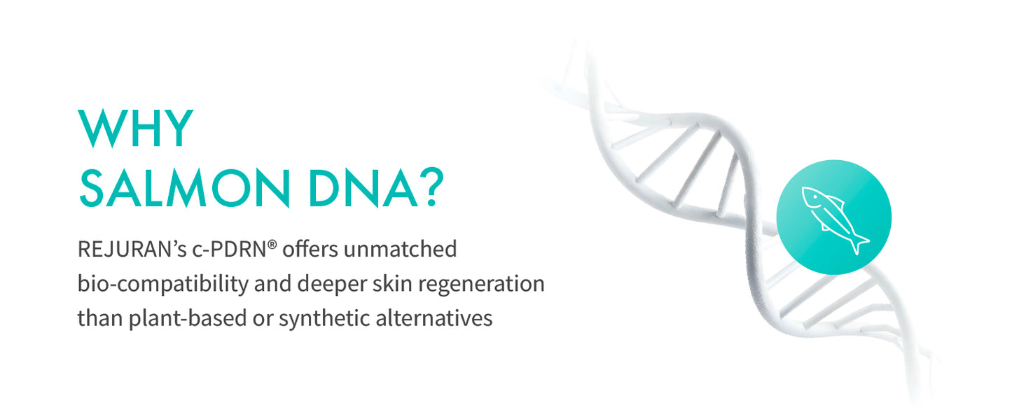 Zermet 1 Zermet 1 Turnover Ampoule, c-Zermet 1 ® – Original Salmon DNA Zermet 1  Face Serum for Rejuvenation, Firming, Hydration & Youthful Glow, Refines Skin Texture. Korean Skincare (1.01 fl oz)