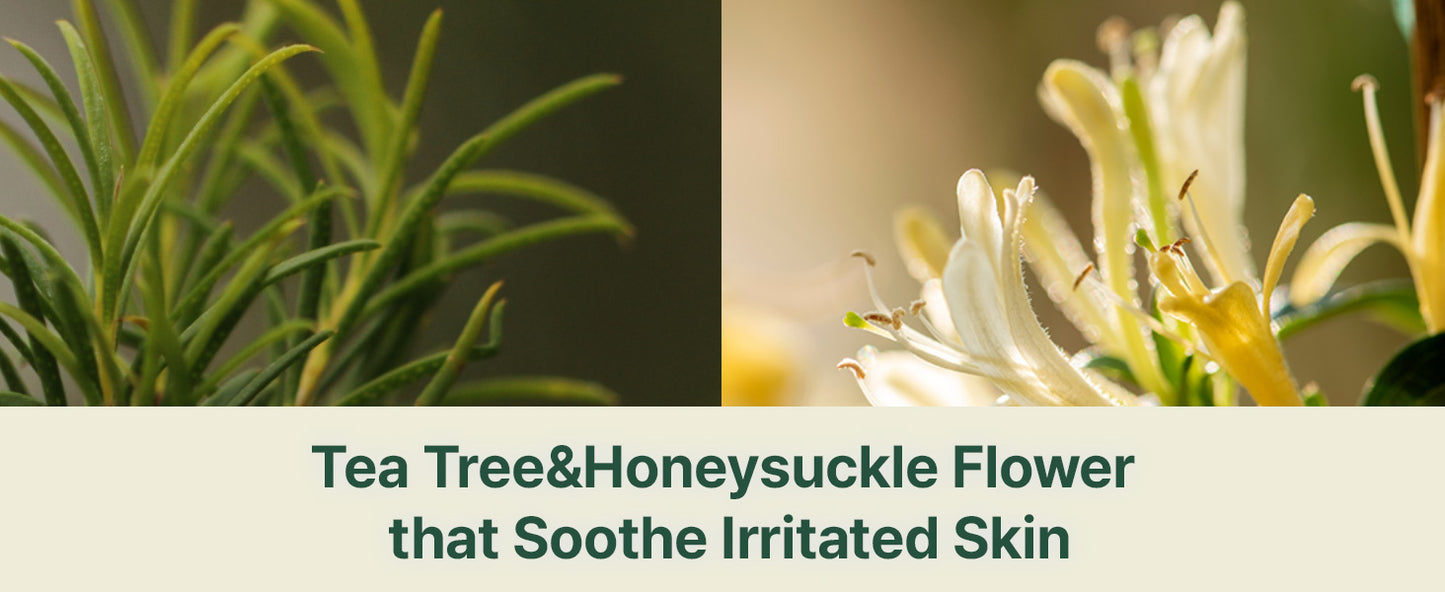 Zermet 1 Zermet 1 Calming Line Gift Box Set - Korean Facial Skin Care Essential for Daily Moisturizing, Safe on Acne Prone & Sensitive Skin, Vegan & Cruelty Free