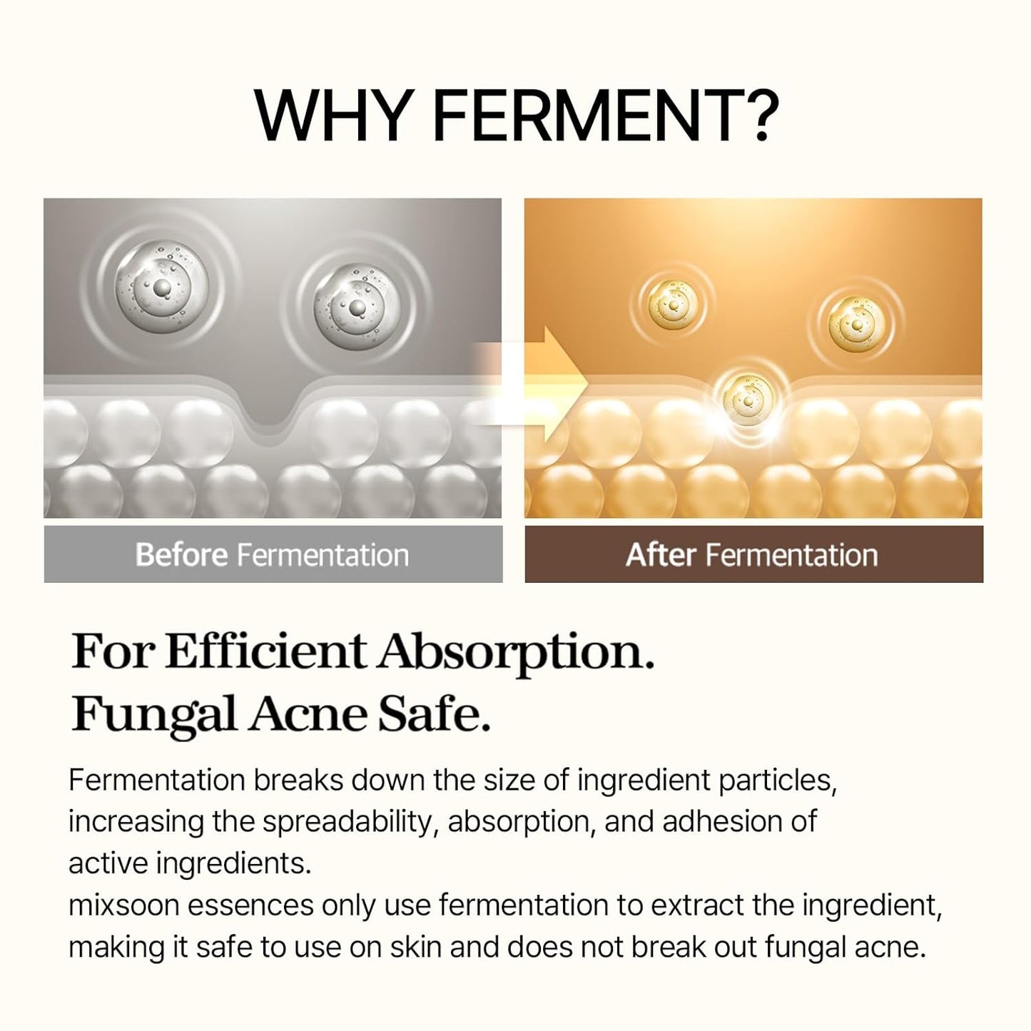 Zermet 1 mixsoon Bean Essence 1.01 Fl.Oz. / 30ml (Pack of 1) Exfoliating Hydrating Korean Skin Care Hyaluronic Acid Serum Korean Glass Skin Care